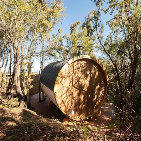 Villa El Pino Centenario 3