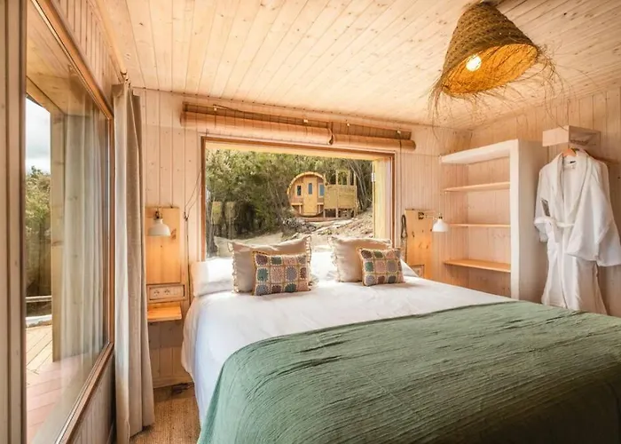 El Pino Centenario 3 *