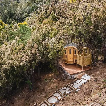 El Pino Centenario 3 Con Sauna Villa *