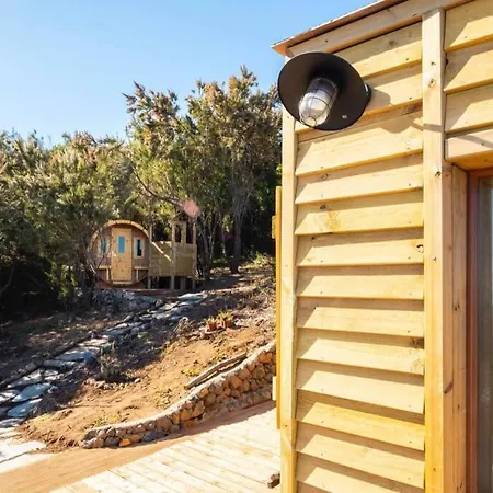 El Pino Centenario 3 라오로타바