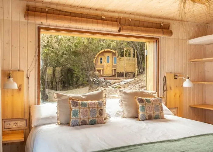 El Pino Centenario 3