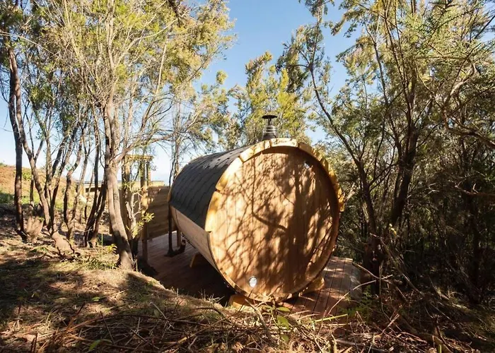 빌라 El Pino Centenario 3