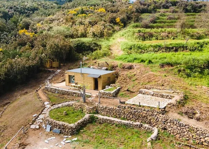 El Pino Centenario 3 *