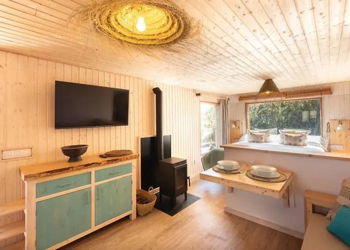 El Pino Centenario 3 *