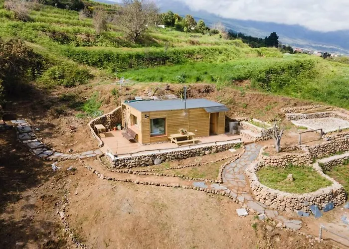 El Pino Centenario 3 *